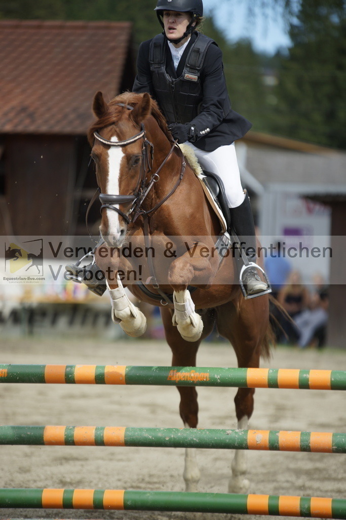 _DSC4330 | equestrian-live-com