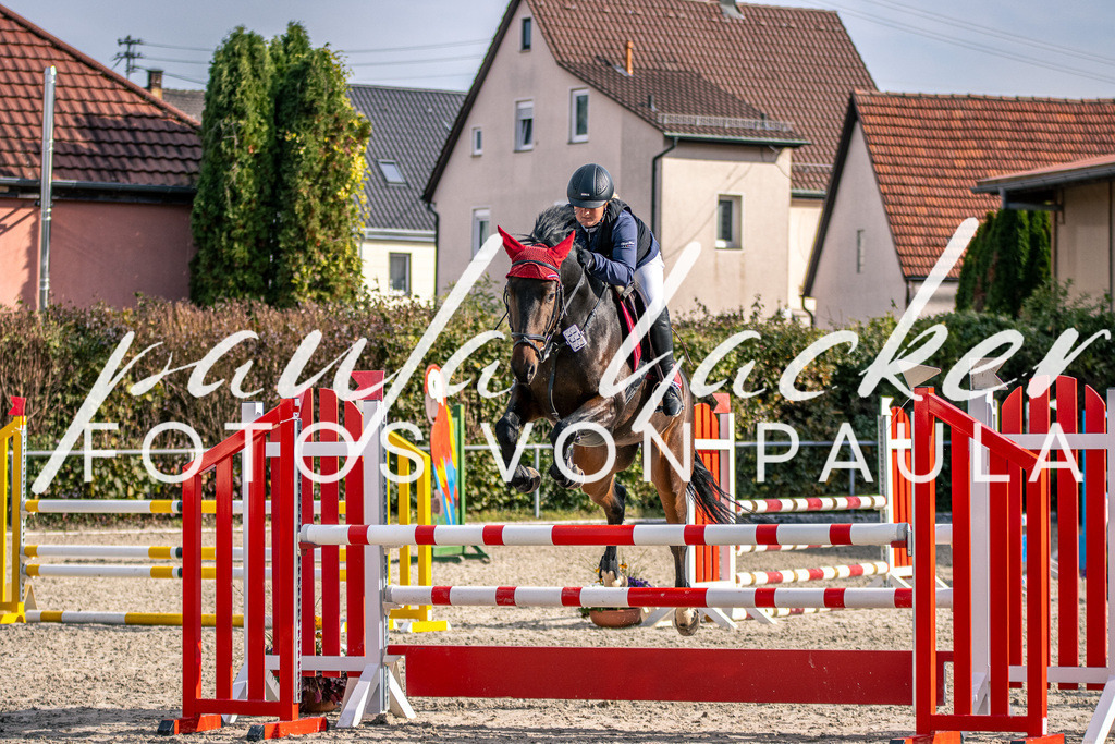 IMG_5678 | Erleben Sie dynamische Sport- und emotionale Tierfotografie in Süddeutschland mit Fotos von Paula. Spezialisiert auf Pferde- und Hundefotografie sowie Sportevents. Kontaktieren Sie mich für einzigartige und ausdrucksstarke Bilder Ihrer besonderen Momente. - Realisiert mit Pictrs.com