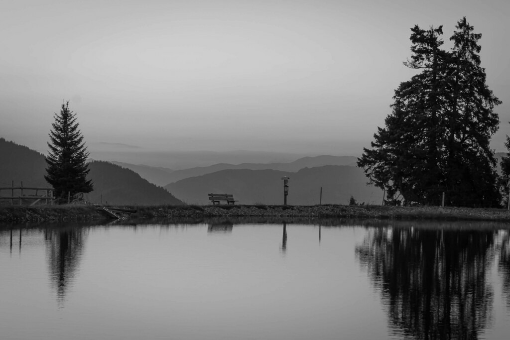 _W5A1560-2 | Sich an die einzigartigen Momente der Natur und Landschaft sowie die Begegnung mit heimischen wilden Tieren zu erinnern, dies kann man anhand den Bilder der Natur und Landschaftsfotografin Sandra Eimermacher.  - Realisiert mit Pictrs.com