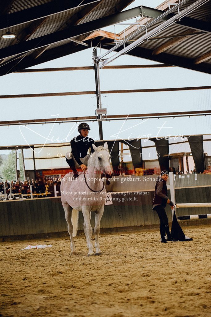 DSC_6996 | Pferde- und Turnierfotografie in Westsachsen. Pferdeportraits, Auftragszeichnungen und intuitive Kunst.