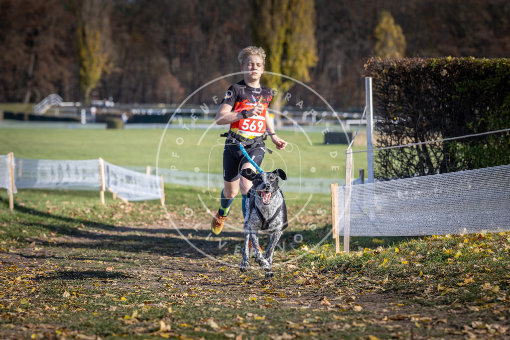 CaniXpix_DV3A8841 | Hundefotografie, Tierfotograf, Pfotenfotografie, Fotoshooting Hund, Hunde Portrait, Hundesport, Hundeportraits, Heideshooting, Hunde, Sportfotograf, Hundefotograf, Turnierhundsport, THS,  - Realisiert mit Pictrs.com