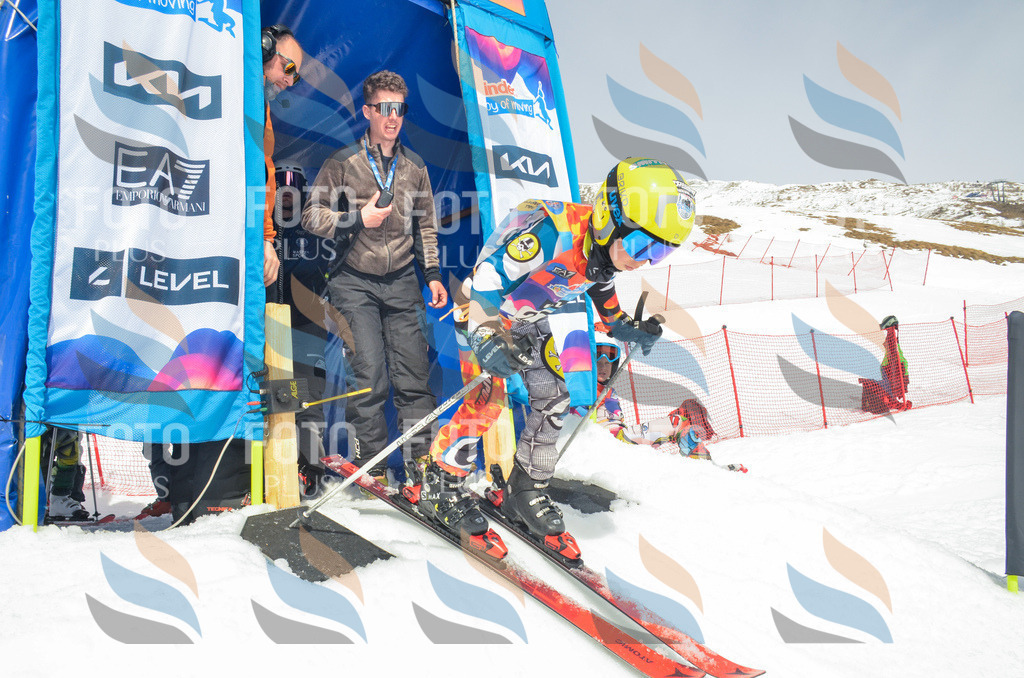 _ELE7789 | holidayphoto