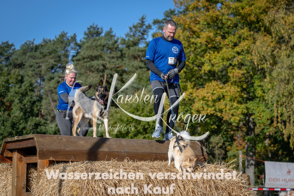 1100_ZZ92452 | kk-dogfotos