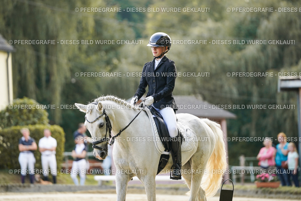 DSC05342 | Pferdegrafie