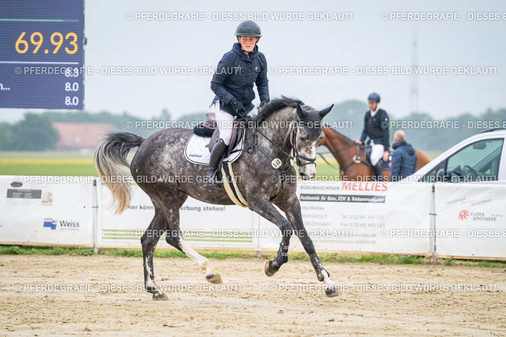 DSC01624 | Pferdegrafie