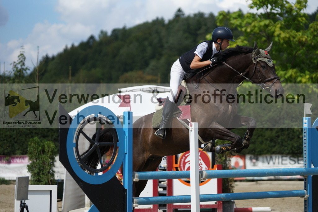 DSC00092 | equestrian-live-com