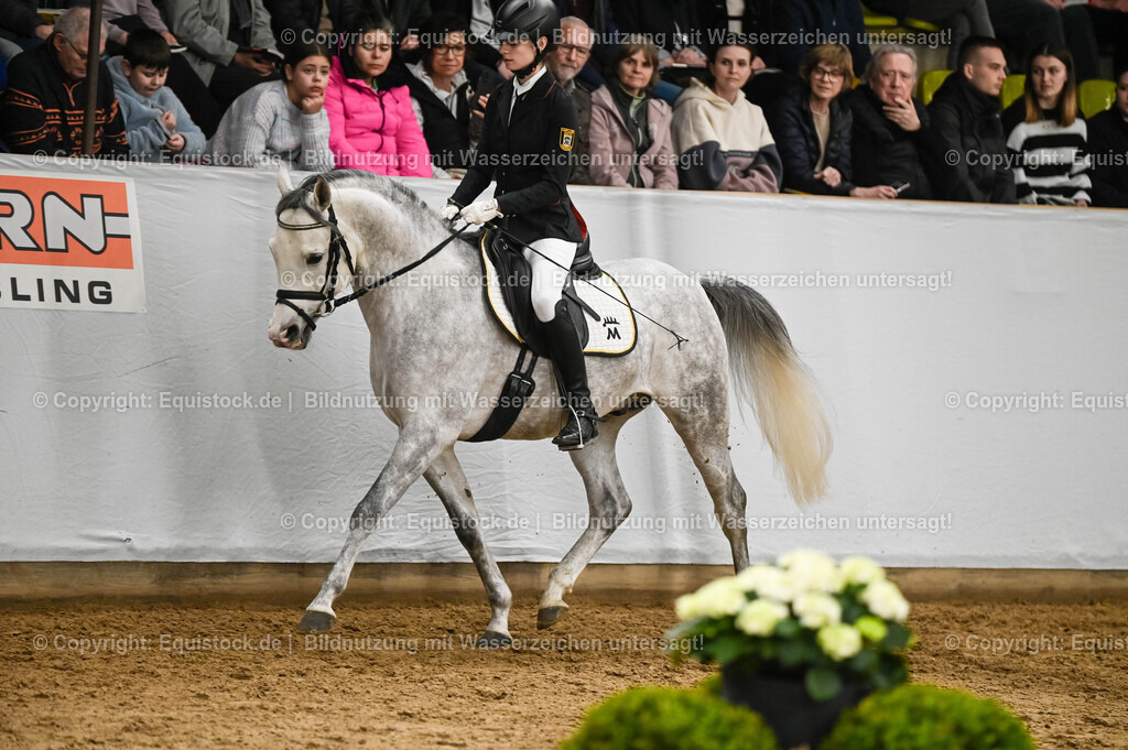 20260307_Hengstvorstellung-Marbach_0414 | equistock