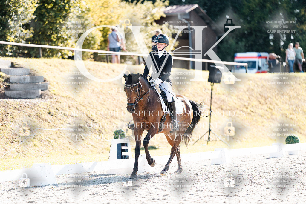 CK906280 | Turnierfotografie Pferdefotografie Trier Rheinland-Pfalz Pferdesport Reitsport Tierfotografie Sportfotografie Pferdevideo Pferdevideografie Equestrianvideography equestrianphotography  - Realisiert mit Pictrs.com