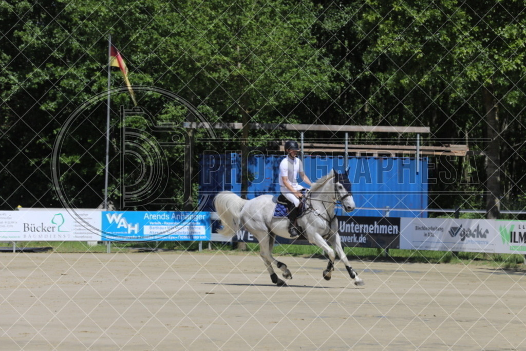 IMG_4956 | photographesa-joergens - Realisiert mit Pictrs.com
