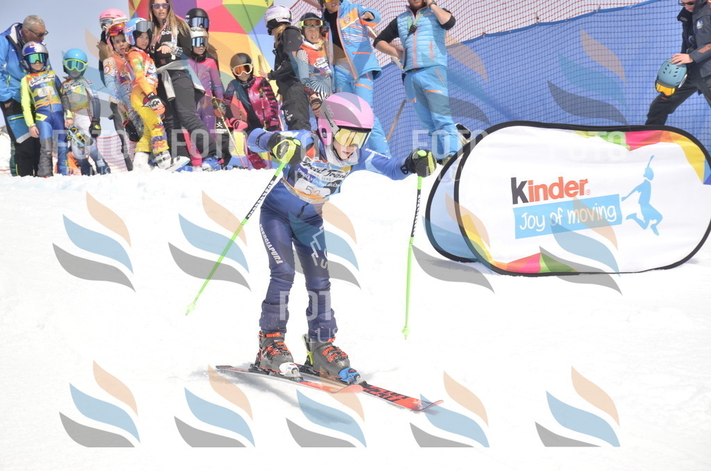 _ELE8830 | holidayphoto