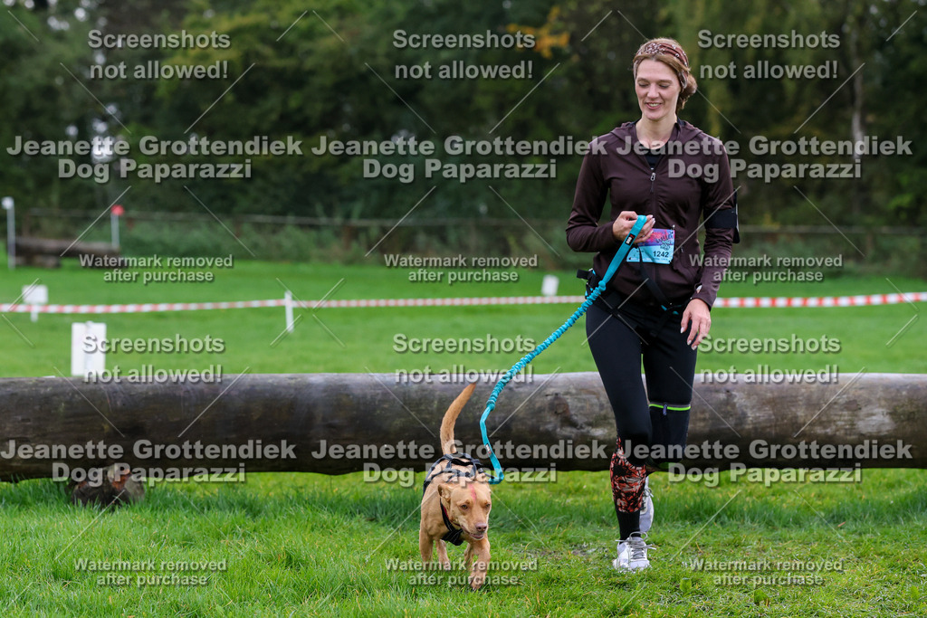 Dog Paparazzi -  SD1026-1975 | Dog Paparazzi Jeanette Grottendiek Fotografie & Videografie - Realisiert mit Pictrs.com
