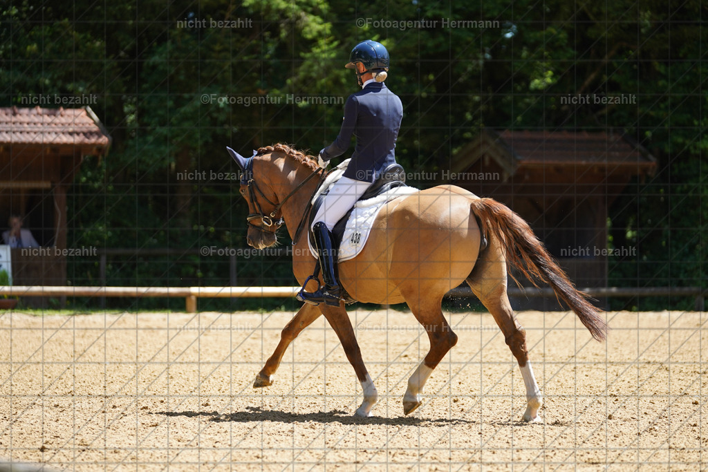 20240705-FAH04018 | Turnierbilder von Grafing, Reitsportbilder, Turnierfotos, Turnierfotografen Bayern, Pferdefotograf, Fotoagentur Herrmann
