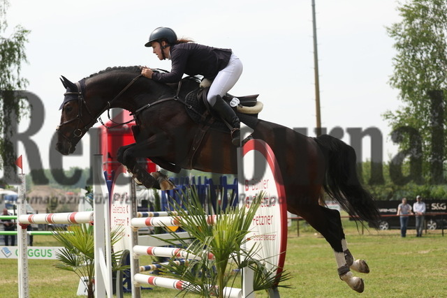 Weingarten_2023_Prfg.Nr.29_Springpferde_Kl.M_6jähr_Sophia Schlindwein_Visano (5) | Alle Fotos der Reiterjournal Fotografin Doris Matthaes im Reiterjournal Online-Fotoshop. - Realizado com Pictrs.com