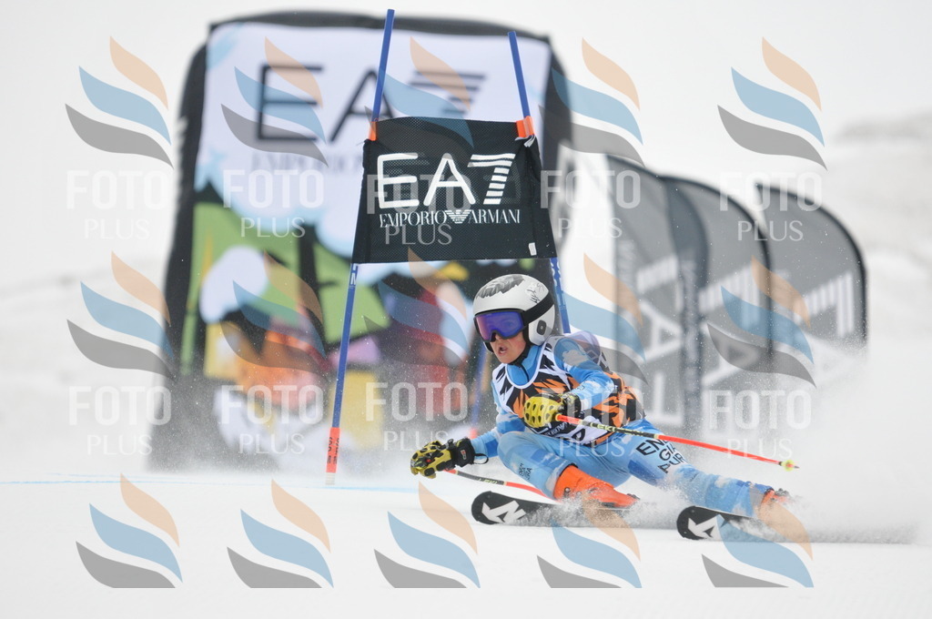 DSC_7975 | holidayphoto