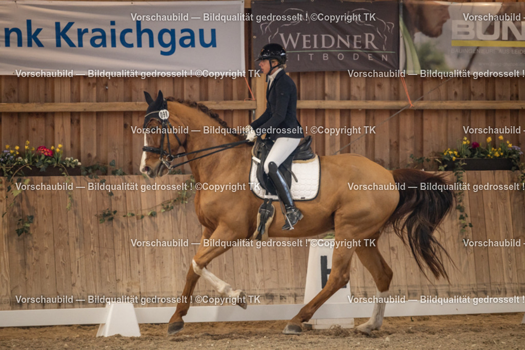 _D5A9199 | Emotionale Pferde- & People-Fotografie rund um Heidelberg, Leimen & Umgebung. Natürliche Fotos von Pferd, Mensch & Familie. Jetzt Termin sichern!