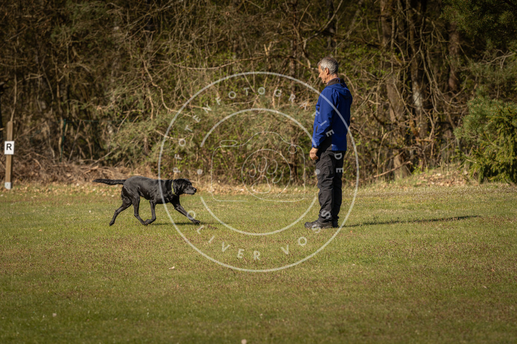 Pfotenfotografie_DV3A0378 | Hundefotografie, Tierfotograf, Pfotenfotografie, Fotoshooting Hund, Hunde Portrait, Hundesport, Hundeportraits, Heideshooting, Hunde, Sportfotograf, Hundefotograf, Turnierhundsport, THS,  - Realisiert mit Pictrs.com