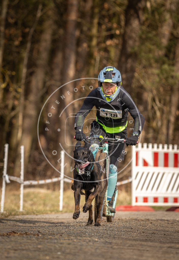 DV3A4708 | Hundefotografie, Tierfotograf, Pfotenfotografie, Fotoshooting Hund, Hunde Portrait, Hundesport, Hundeportraits, Heideshooting, Hunde, Sportfotograf, Hundefotograf, Turnierhundsport, THS,  - Realisiert mit Pictrs.com