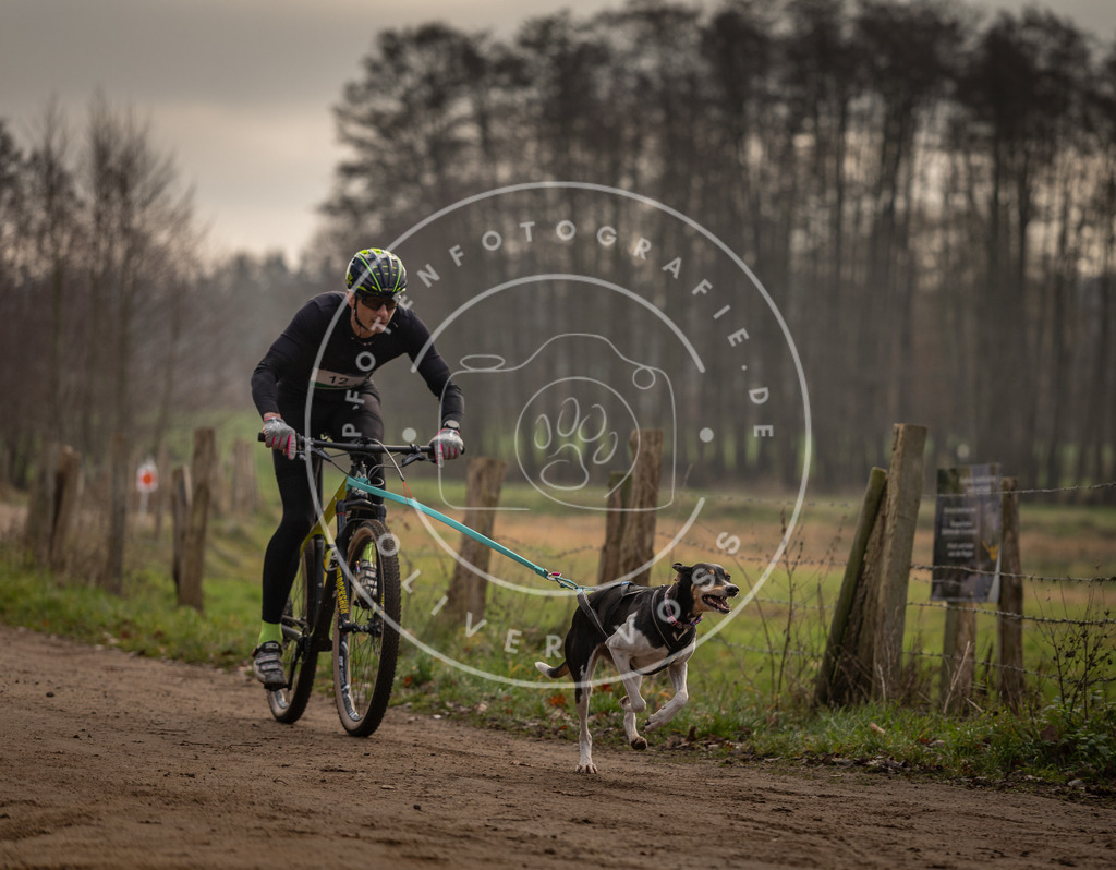Pfotenfotografie_DV3A1785 | Hundefotografie, Tierfotograf, Pfotenfotografie, Fotoshooting Hund, Hunde Portrait, Hundesport, Hundeportraits, Heideshooting, Hunde, Sportfotograf, Hundefotograf, Turnierhundsport, THS,  - Realisiert mit Pictrs.com