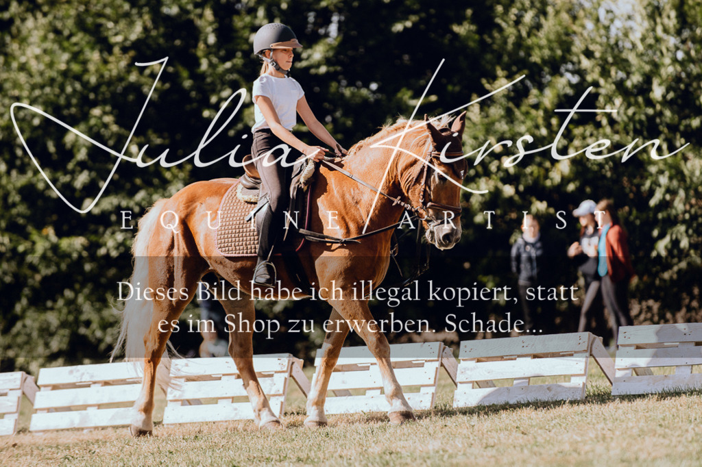 DSC_7296 | Pferde- und Turnierfotografie in Westsachsen. Pferdeportraits, Auftragszeichnungen und intuitive Kunst.