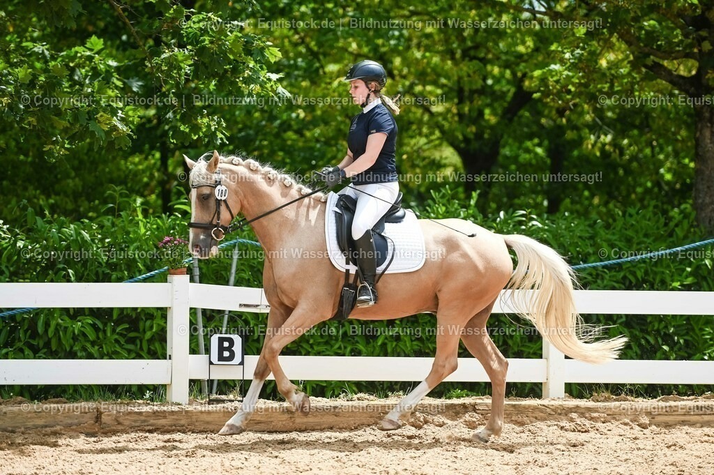 20230715_09_Dressur-WB_0546 | equistock