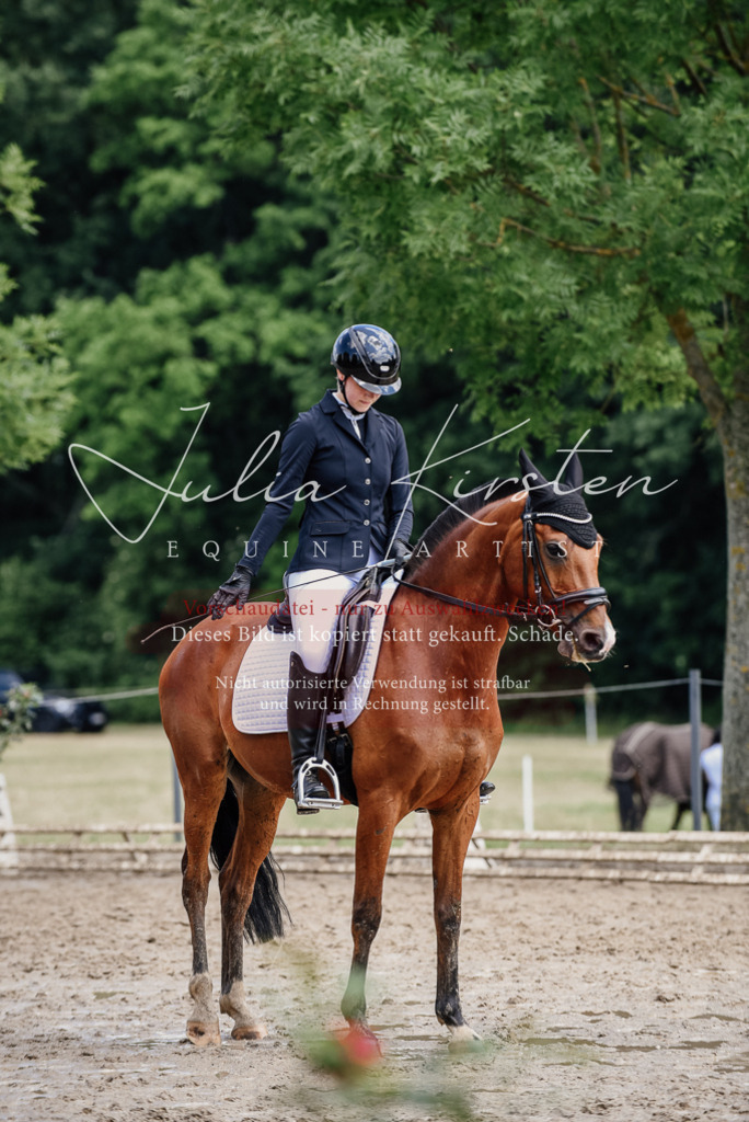 DSC_1793 | Pferde- und Turnierfotografie in Westsachsen. Pferdeportraits, Auftragszeichnungen und intuitive Kunst.
