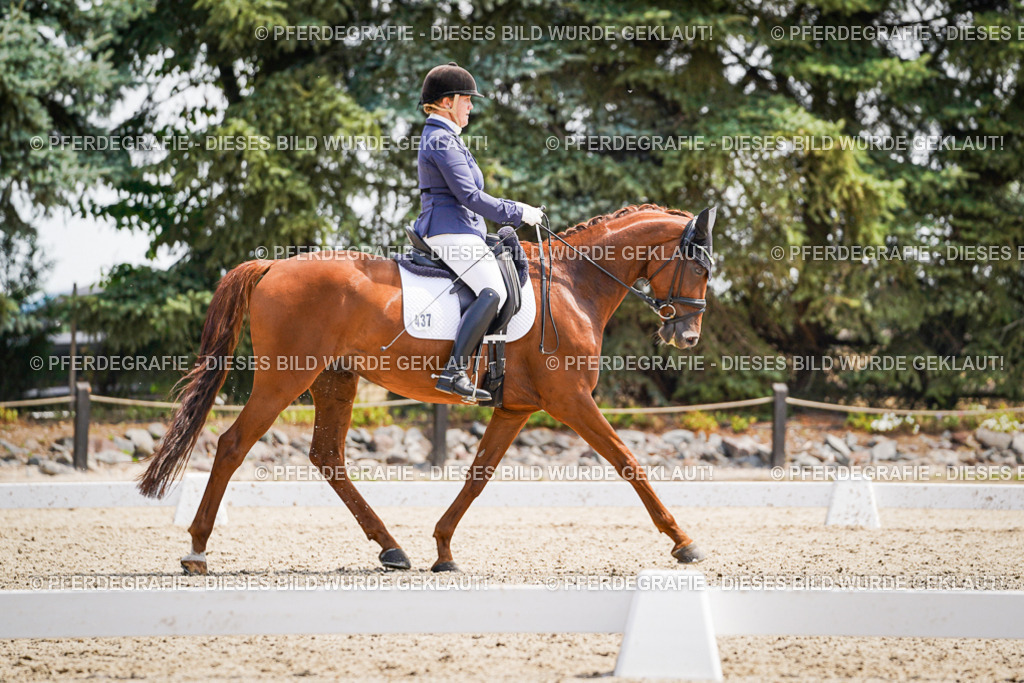 DSC00666 | Pferdegrafie