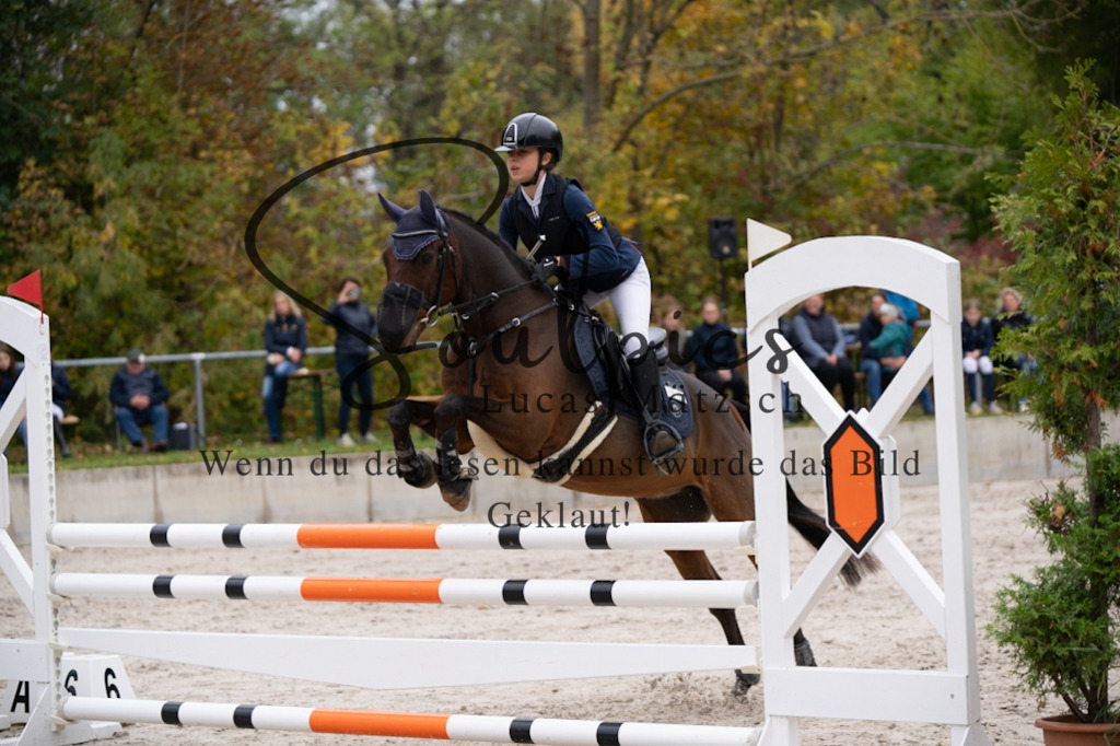 A7V07977 | Pferdefotograf