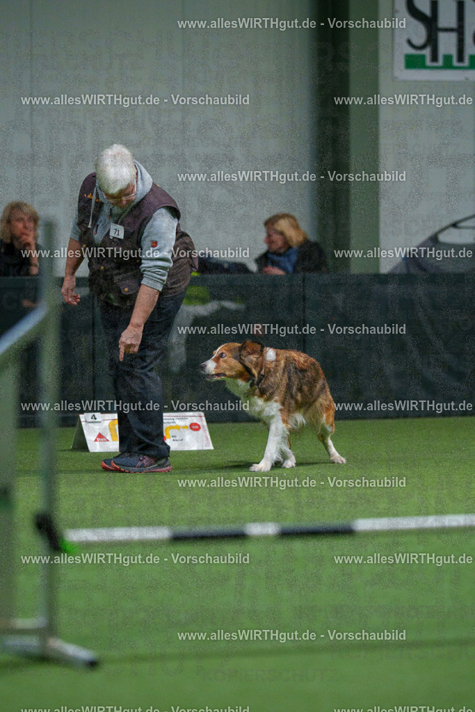 7R504056 | Professionelle Tierfotografie in Mönchengladbach von Daniel Wirth (allesWIRTHgut). Liebevolle & natürliche Bilder von Hunden & Katzen für unvergessliche Erinnerungen.