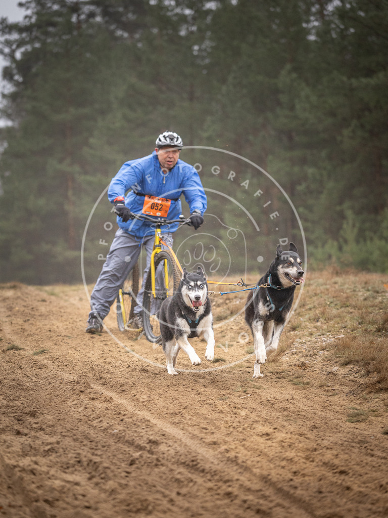 Pfotenfotografie_DV3A1267 | Hundefotografie, Tierfotograf, Pfotenfotografie, Fotoshooting Hund, Hunde Portrait, Hundesport, Hundeportraits, Heideshooting, Hunde, Sportfotograf, Hundefotograf, Turnierhundsport, THS,  - Realisiert mit Pictrs.com