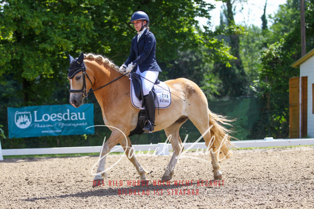 DKP42490 | Turniersportfotografie; Pferdefotografie; Dressurfotografie