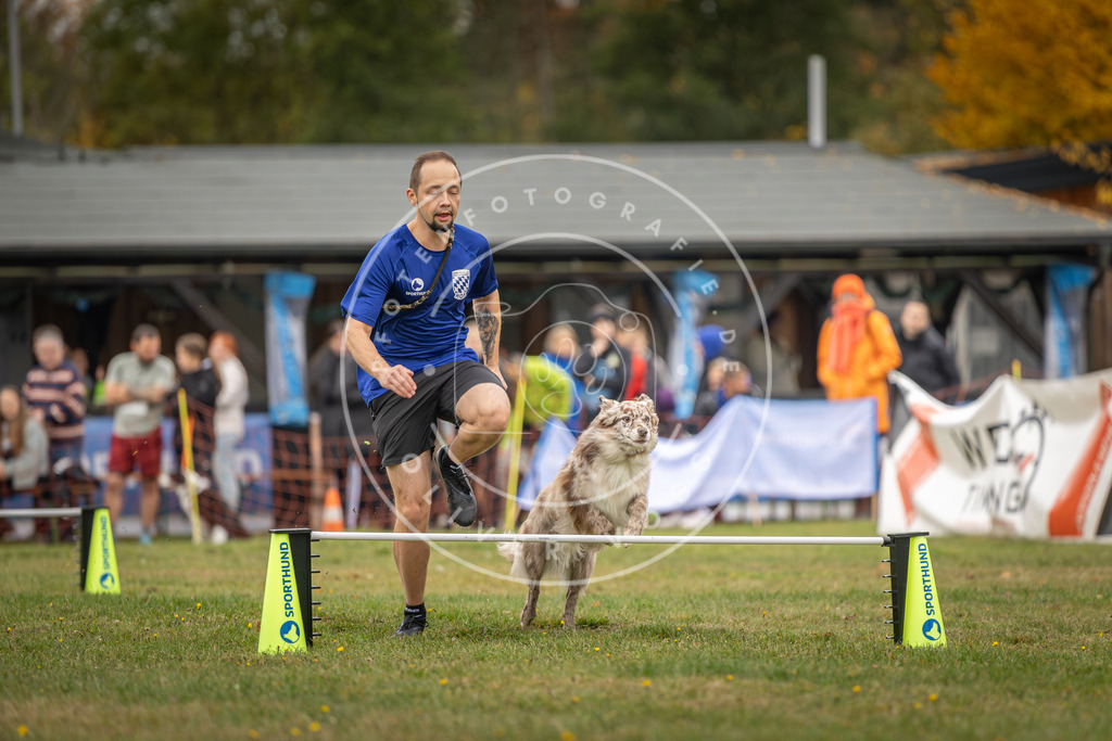 Pfotenfotografie_DV3A5022 | Hundefotografie, Tierfotograf, Pfotenfotografie, Fotoshooting Hund, Hunde Portrait, Hundesport, Hundeportraits, Heideshooting, Hunde, Sportfotograf, Hundefotograf, Turnierhundsport, THS,  - Realisiert mit Pictrs.com