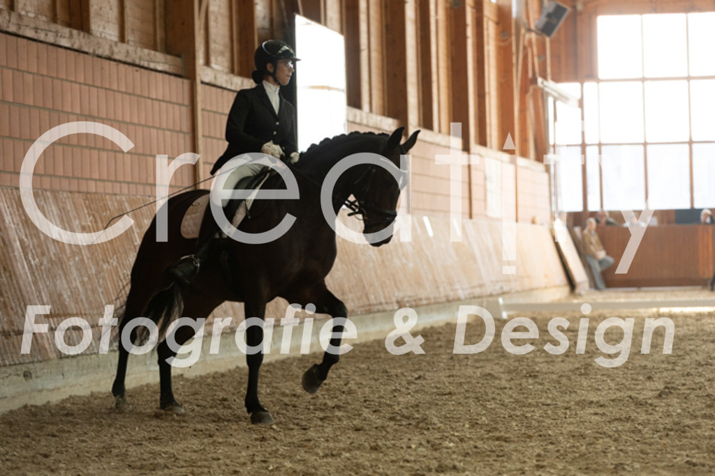 IMG_3713 | Creatify Fotografie