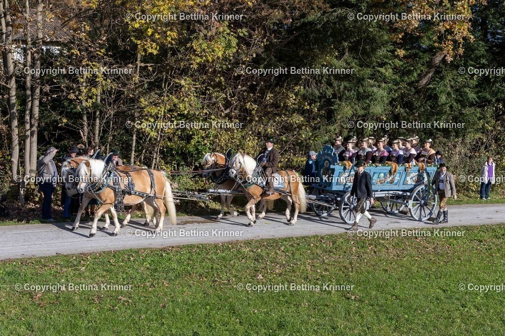 LBT24-841 | foto-bettina-krinner - Realisiert mit Pictrs.com