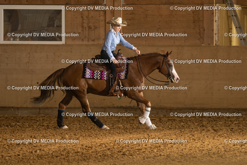 LAU00636 | dv-media-shop - Realisiert mit Pictrs.com