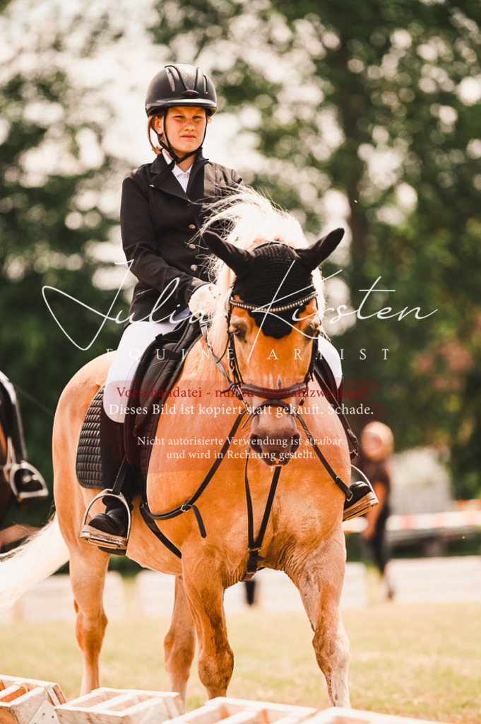 DSC_6287 | Pferde- und Turnierfotografie in Westsachsen. Pferdeportraits, Auftragszeichnungen und intuitive Kunst.