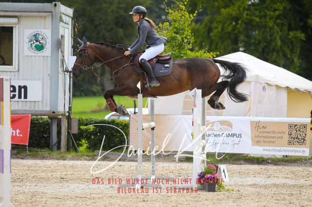 DKP43709 | Turniersportfotografie; Pferdefotografie; Dressurfotografie