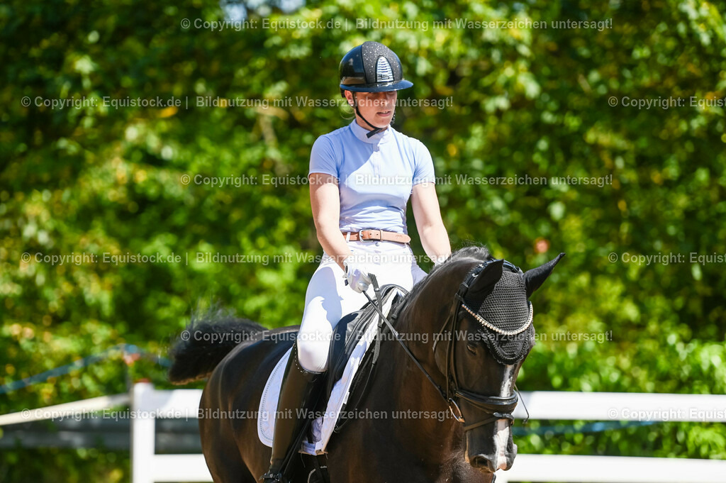 20230715_02_Dressurreiterprüfung Kl.L_0029 | equistock