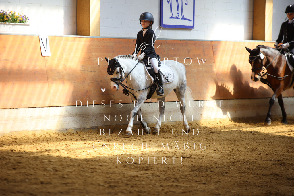 IMGT0836 | pl-fotografie