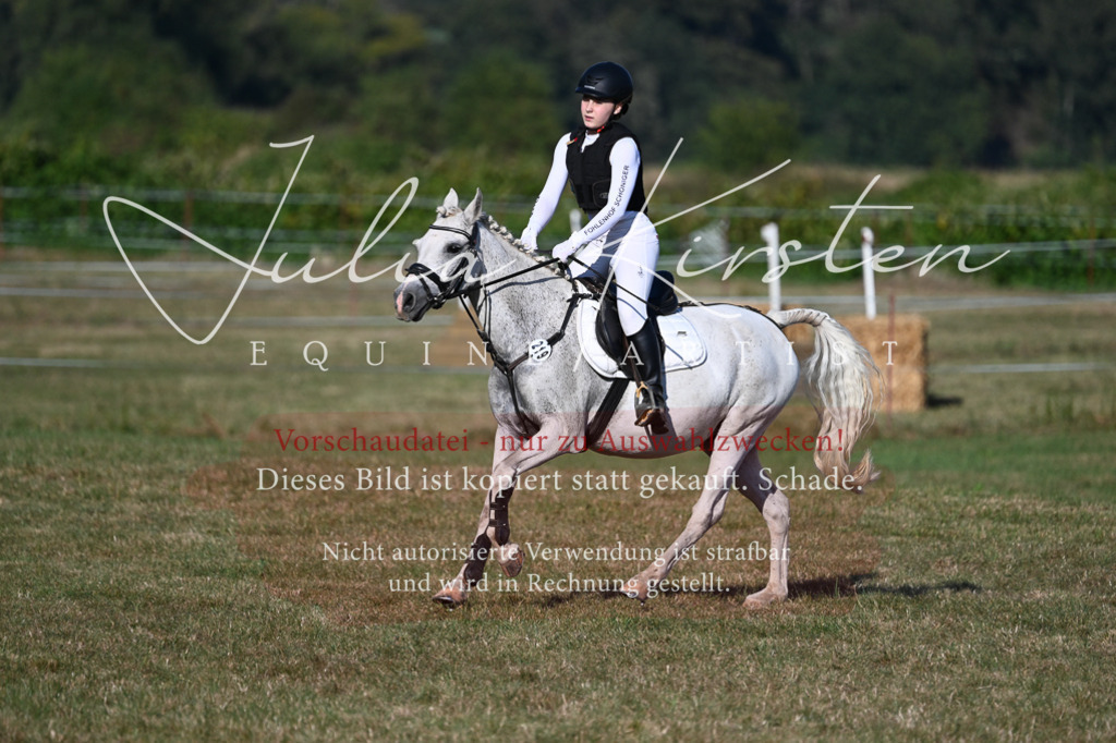 DSC_8963 | Pferde- und Turnierfotografie in Westsachsen. Pferdeportraits, Auftragszeichnungen und intuitive Kunst.