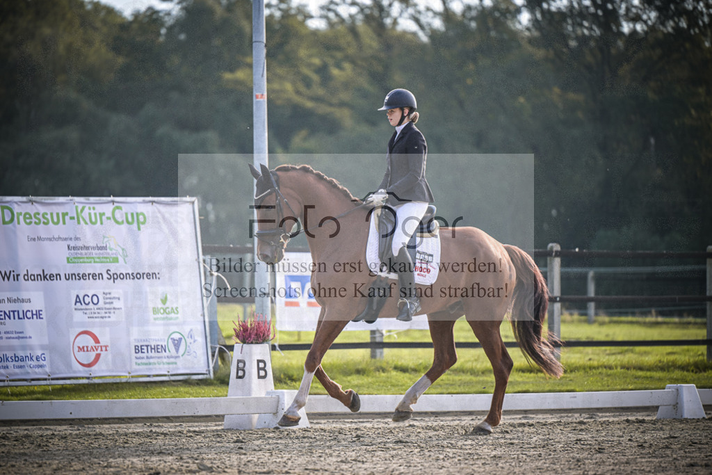 DOS_3361 | Entdecke hochwertige Reitturnierfotos von Foto Oger. Professionell, emotional und authentisch – jetzt Lieblingsmomente im Shop bestellen.Deutschlandweite Turnierfotografie. - Realisiert mit Pictrs.com