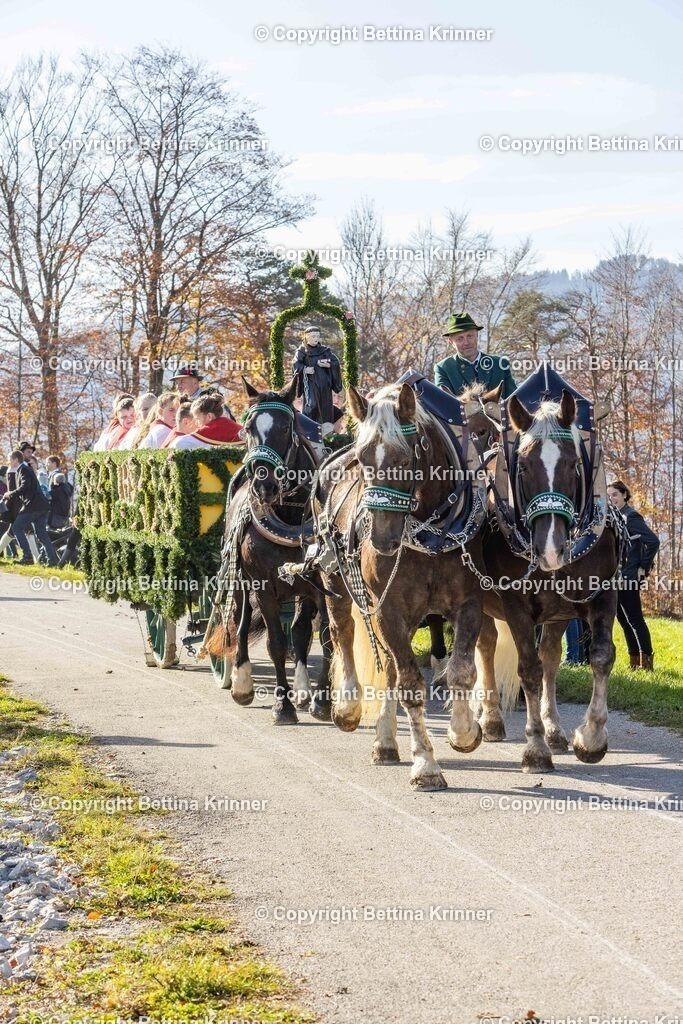 LBT24-1145 | foto-bettina-krinner - Realisiert mit Pictrs.com