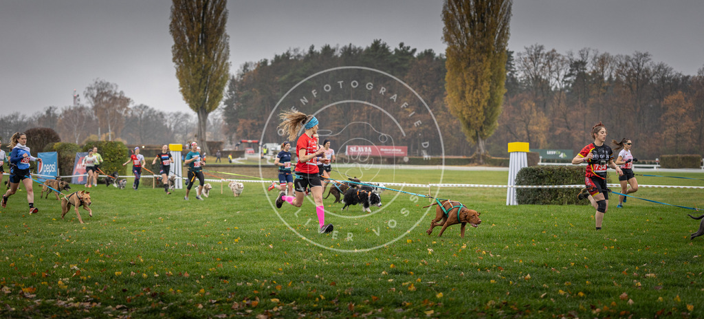 CaniXpix_DV3A8828 | Hundefotografie, Tierfotograf, Pfotenfotografie, Fotoshooting Hund, Hunde Portrait, Hundesport, Hundeportraits, Heideshooting, Hunde, Sportfotograf, Hundefotograf, Turnierhundsport, THS,  - Realisiert mit Pictrs.com