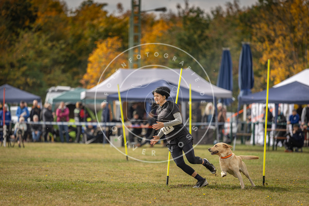 Pfotenfotografie_DV3A7131 | Hundefotografie, Tierfotograf, Pfotenfotografie, Fotoshooting Hund, Hunde Portrait, Hundesport, Hundeportraits, Heideshooting, Hunde, Sportfotograf, Hundefotograf, Turnierhundsport, THS,  - Realisiert mit Pictrs.com