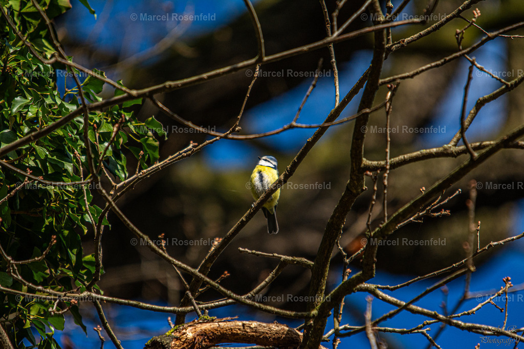 _DSC2573 | foto-rosenfeld