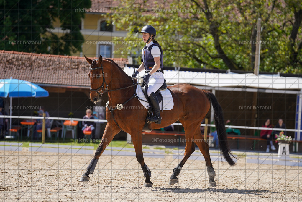 20240518-FAH03154 | rbilder, Turnierfotografen ayern, Fotoagentur Herrmann, Geländeturnier, Springbilder, Dressurbilder, Jungpferdefotograf