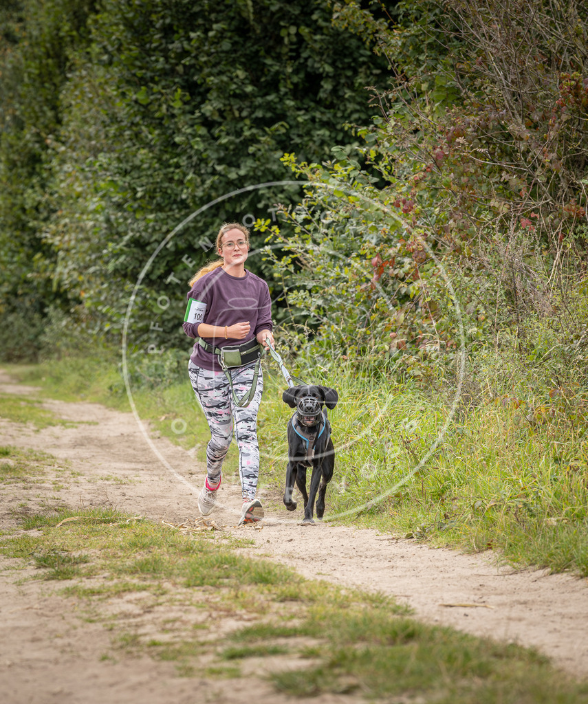 Pfotenfotografie_DV3A6657 | Hundefotografie, Tierfotograf, Pfotenfotografie, Fotoshooting Hund, Hunde Portrait, Hundesport, Hundeportraits, Heideshooting, Hunde, Sportfotograf, Hundefotograf, Turnierhundsport, THS,  - Realisiert mit Pictrs.com