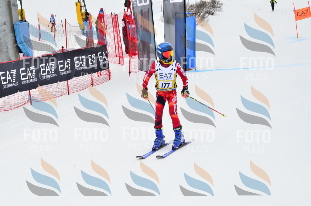 _ELE3940 | holidayphoto