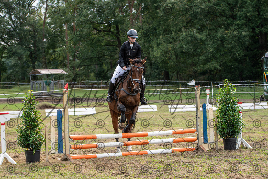 SHT_7549 | andre_photographic