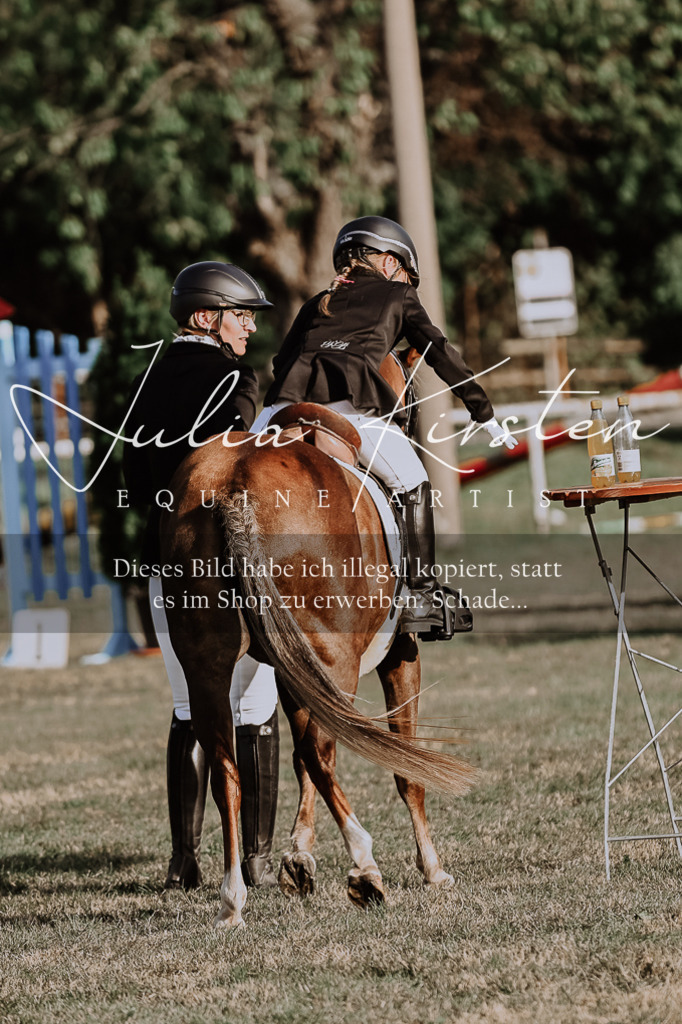 DSC_0113 | Pferde- und Turnierfotografie in Westsachsen. Pferdeportraits, Auftragszeichnungen und intuitive Kunst.