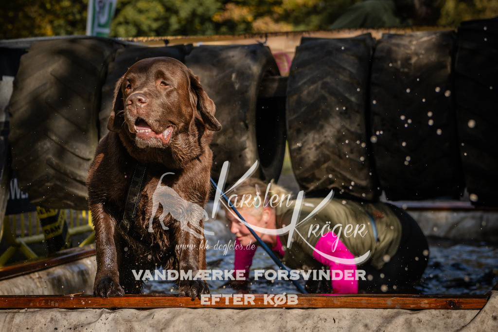 1157_ZZ93931 | kk-dogfotos